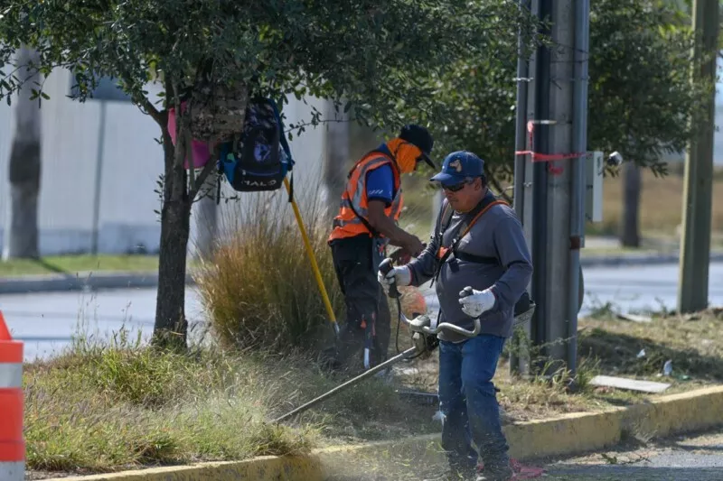 El municipio limpia y conserva 35 mil metros lineales de avenidas y jardines