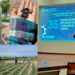 Elabora estudiante de la UAT un bioherbicida para cultivos de frijol
