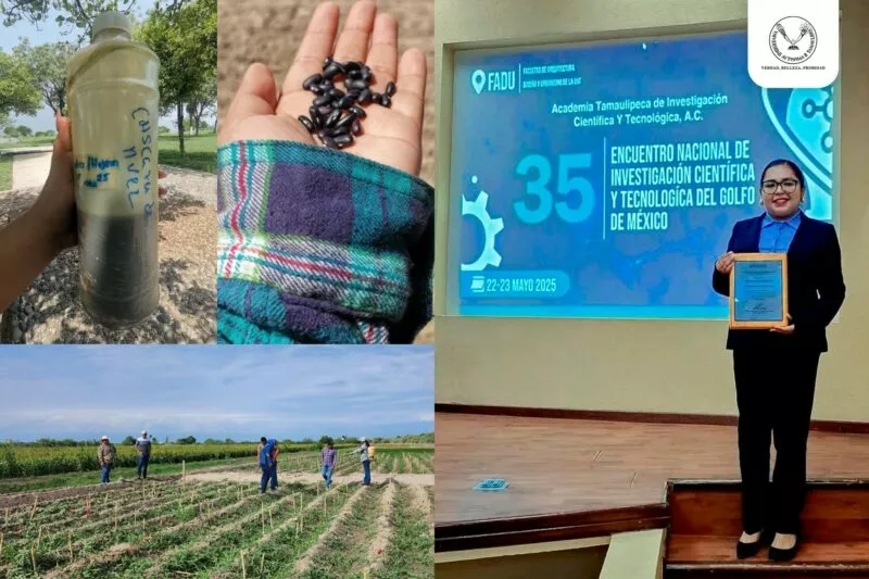 Elabora estudiante de la UAT un bioherbicida para cultivos de frijol