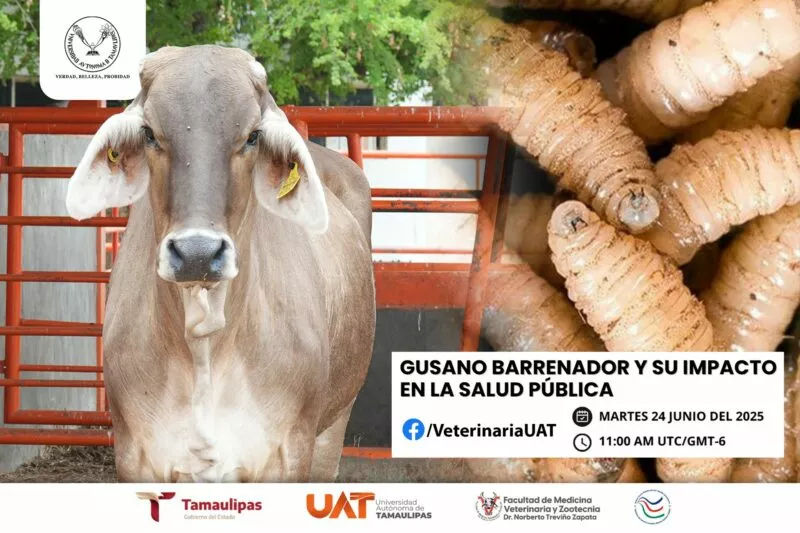 Dará UAT conferencias sobre gusano barrenador e impacto en salud pública