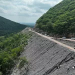 Gobernador impulsa la infraestructura verde con reforestación en carreteras
