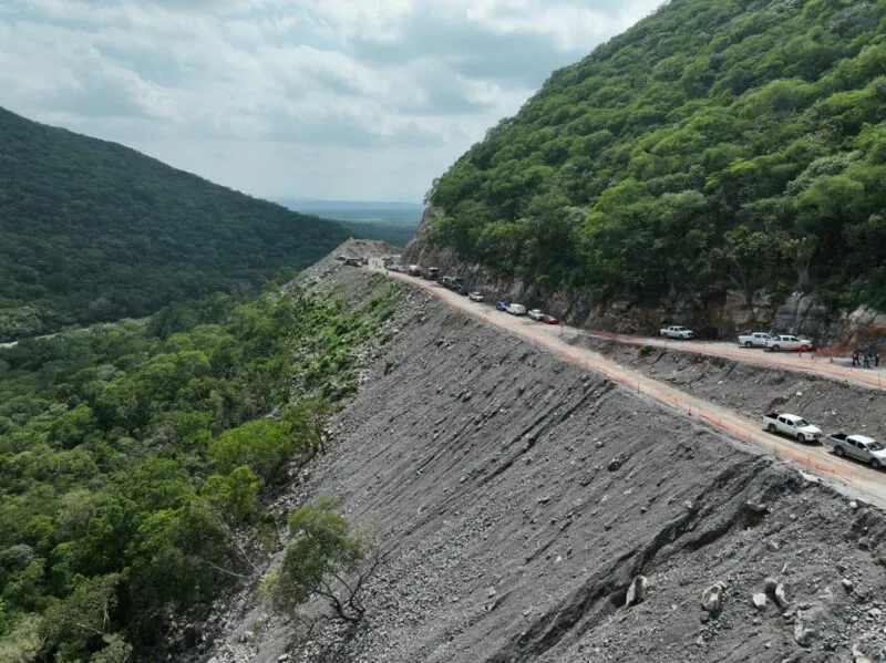 Gobernador impulsa la infraestructura verde con reforestación en carreteras