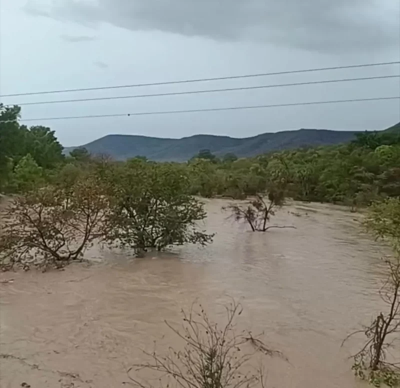 Refuerza el Gobierno de Tamaulipas las acciones preventivas ante crecida de ríos