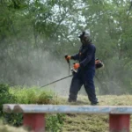 Recupera Ayuntamiento área verde para fortalecer la convivencia social