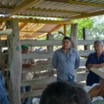 En Aldama y Altamira inicia proyecto de mejora genética con tecnología in vitro