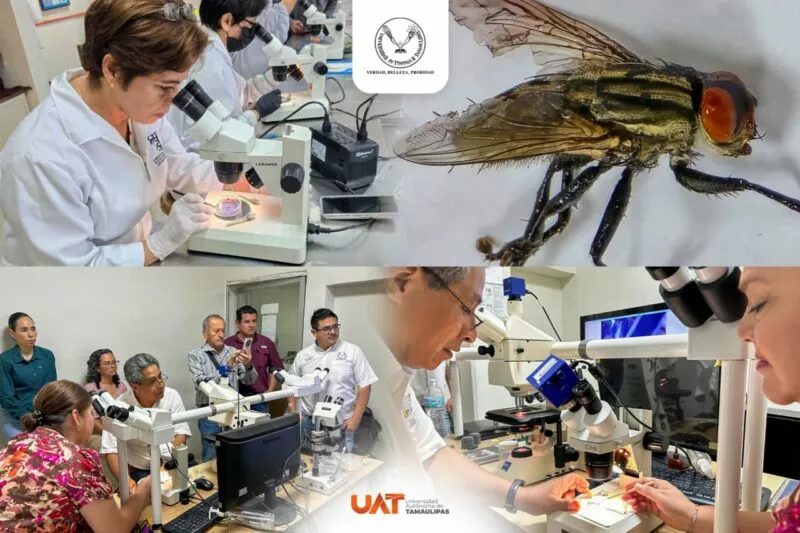 UAT colabora en medidas preventivas contra gusano barrenador en el estado
