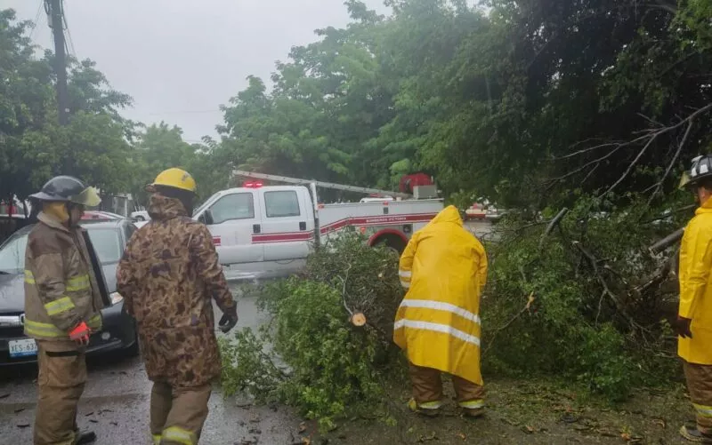 Activa y mantiene gobierno de Victoria acciones de auxilio por lluvia intensa