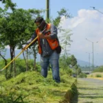 Acelera municipio de Victoria arreglo de vialidades y poda da camellones