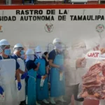 Rastro TIF de la UAT producirá carne de calidad para mercado internacional
