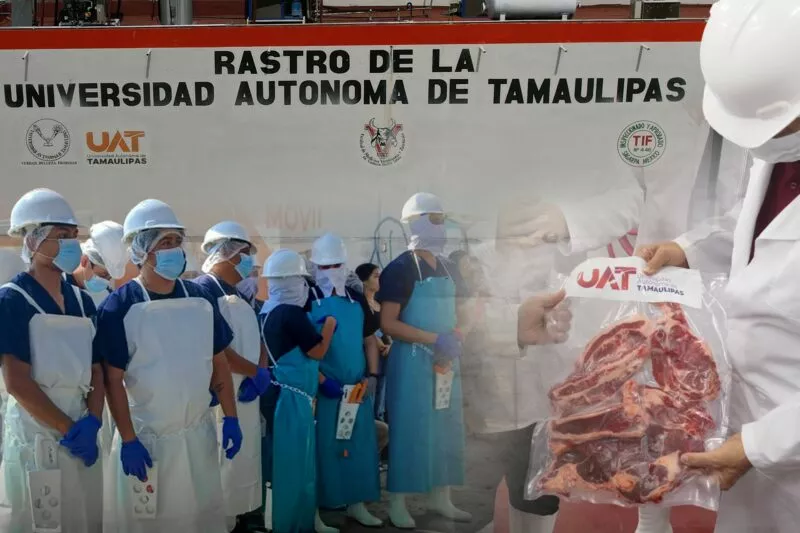 Rastro TIF de la UAT producirá carne de calidad para mercado internacional