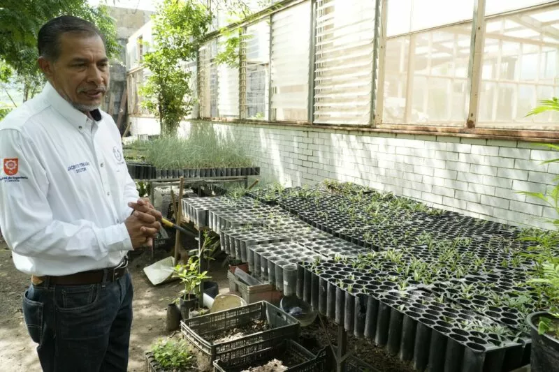 Implementa UAT manejo sustentable del maguey mezcalero en Miquihuana