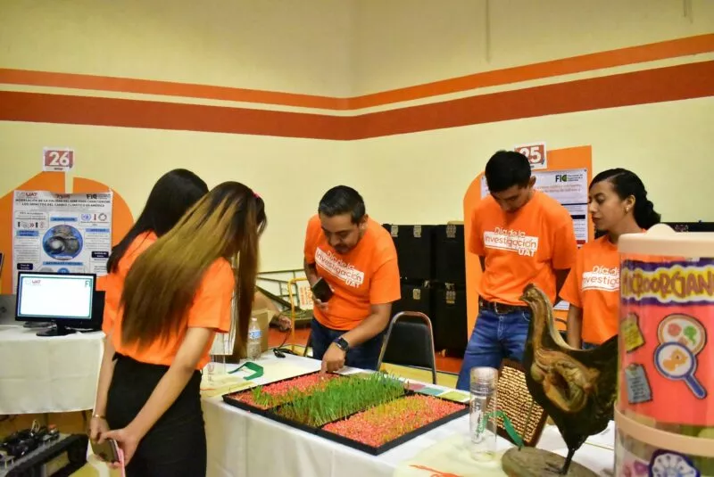 Produce la UAT forraje hidropónico del sorgo y maíz para criar ganado