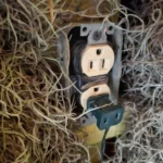 Secretaría de Salud hace recomiendación para evitar accidentes en diciembre