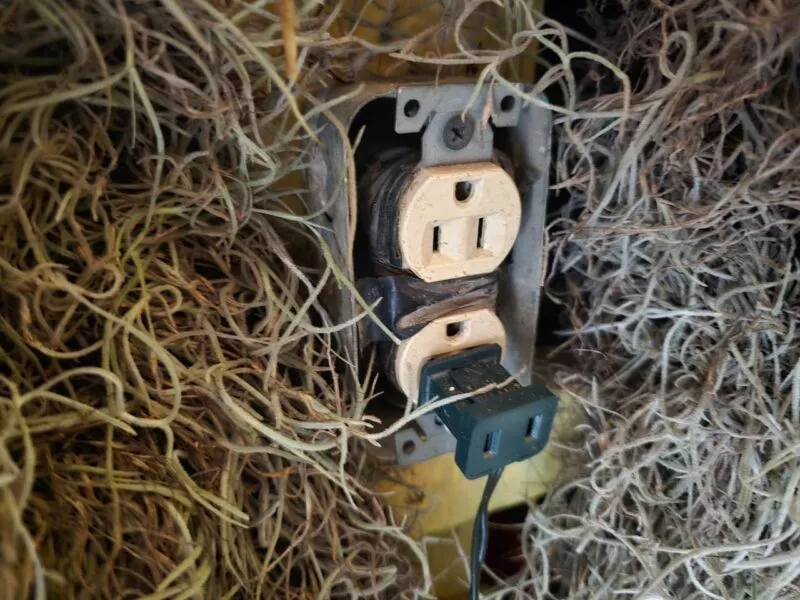 Secretaría de Salud hace recomiendación para evitar accidentes en diciembre