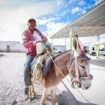 Entrega DIF Tamaulipas alimentos a población ante las bajas temperaturas