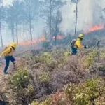 SEDUMA realiza profesionalización en el combate a incendios forestales