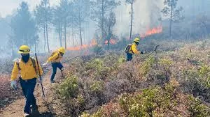 SEDUMA realiza profesionalización en el combate a incendios forestales
