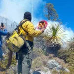 Incendio forestal ‘Puerto del Volcán’ en Miquihuana es liquidado al 100%