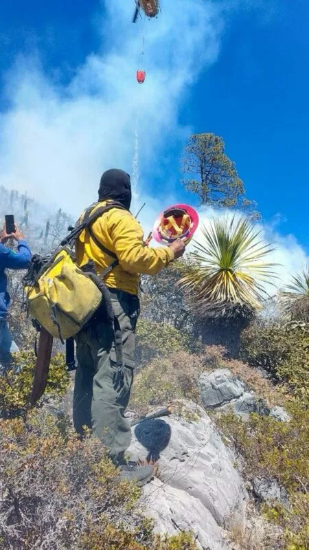 Incendio forestal ‘Puerto del Volcán’ en Miquihuana es liquidado al 100%