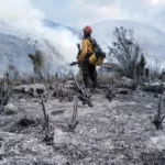 Protección Civil logra liquidación total de un incendio forestal en Bustamante