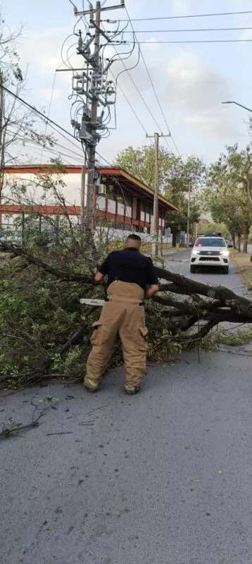 Activa municipio de Victoria operativo de limpieza y prevención por vientos