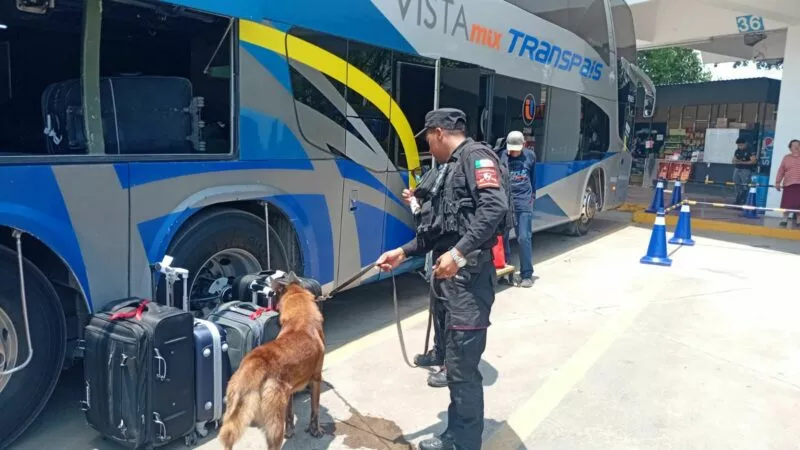 Fortalece Guardia Estatal vigilancia en central de autobuses de Victoria