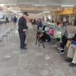 El Grupo Canino de la Guardia Estatal fortalece prevención y combate al delito