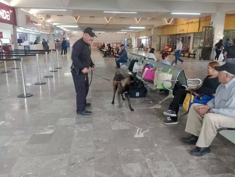 El Grupo Canino de la Guardia Estatal fortalece prevención y combate al delito