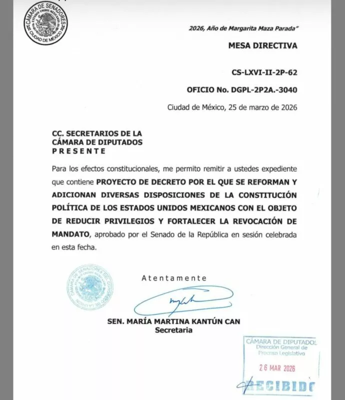 Error del Senado de la República, impide avance de la reforma electoral ‘mocha’ en la Cámara baja