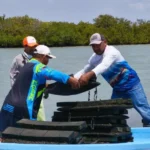 En Aldama realizan acciones para el crecimiento de las granjas del ostión