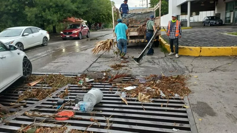 Reporta PC saldo blanco por lluvias; en Victoria; ayuda limpieza de drenes