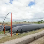 Exploran oportunidades de producción y desarrollo de bioenergía en González