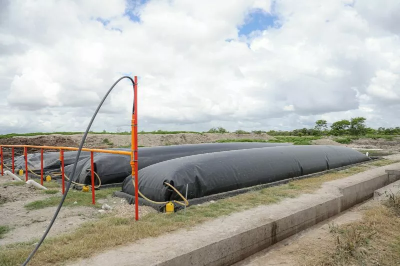 Exploran oportunidades de producción y desarrollo de bioenergía en González