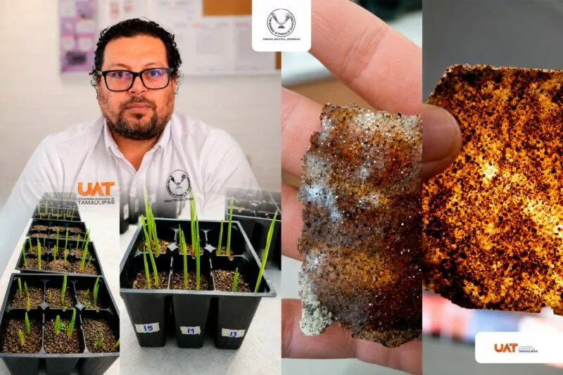 Patenta UAT bioplásticos que sirven para recuperan los suelos erosionados