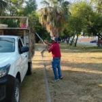 El cuidado de la imagen de Victoria, capital tamaulipeca, es permanente